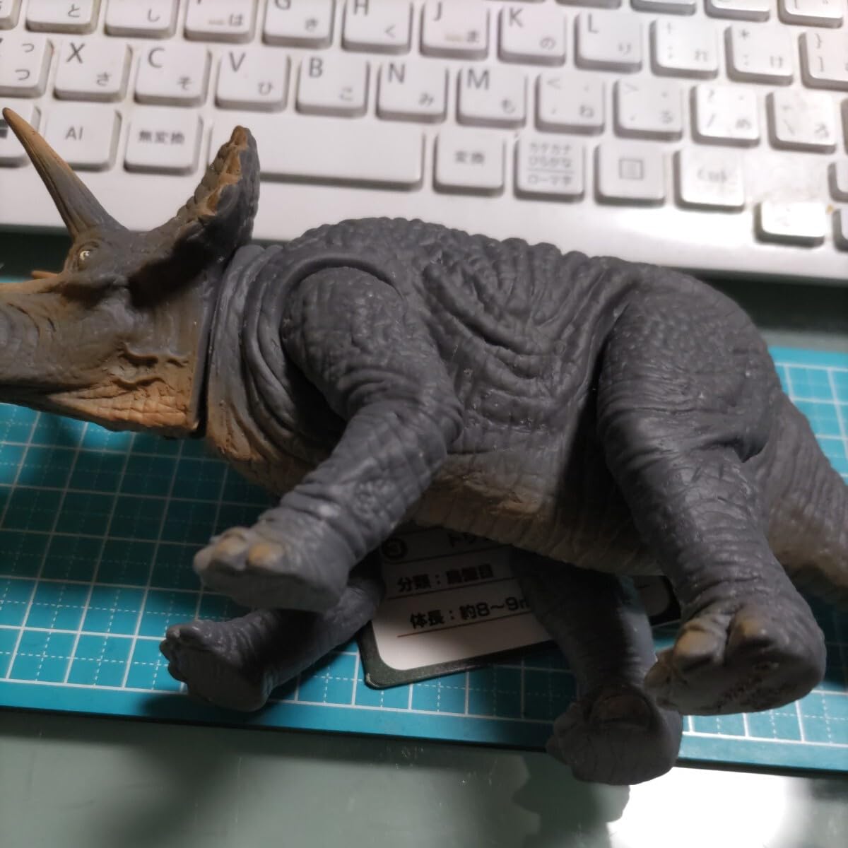 Amazon.co.jp: 大恐竜時代 恐竜ソフト人形シリーズ トリケラトプス