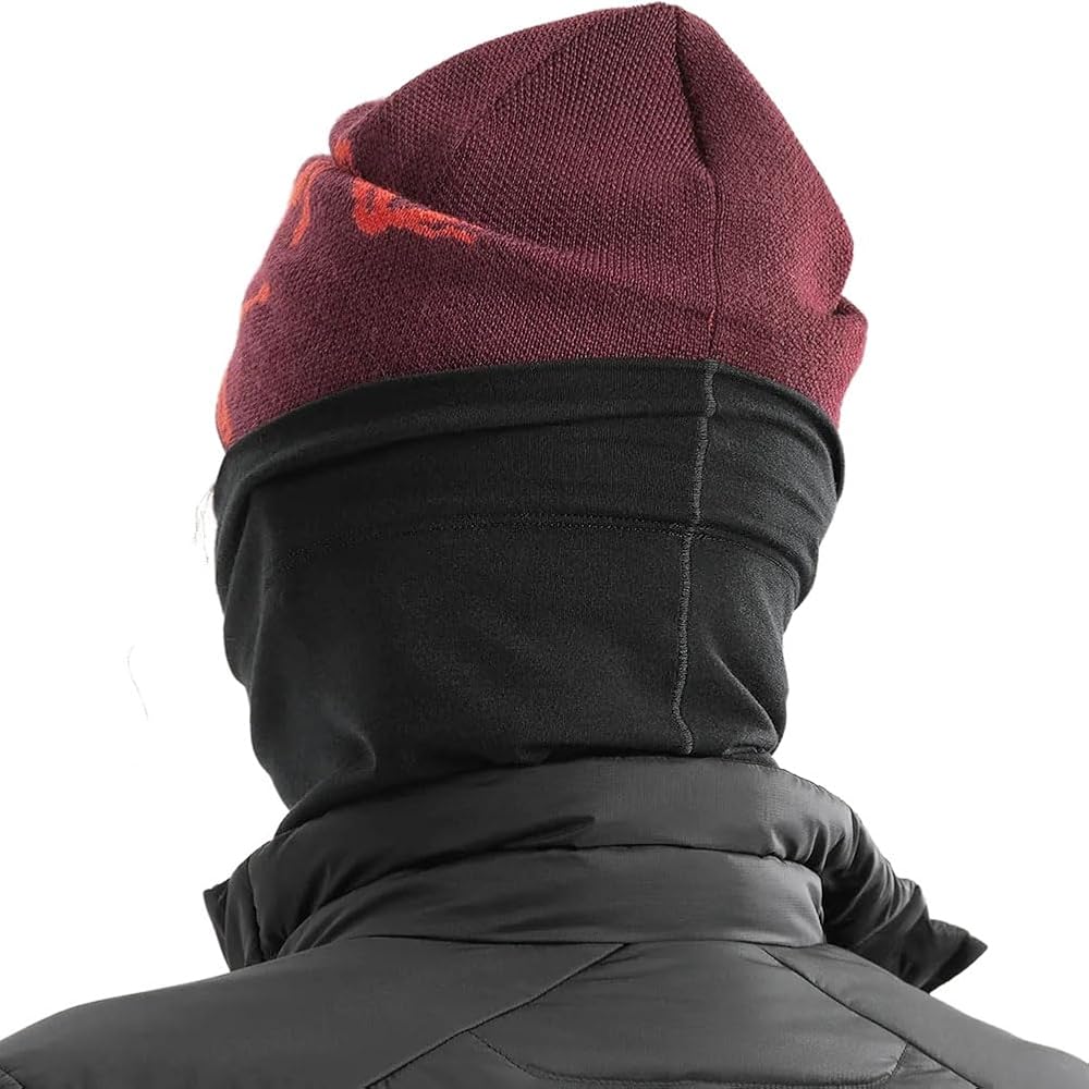 Amazon.co.jp: [アークテリクス] ARCTERYX サトロメリノネックゲイター