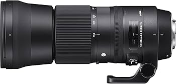 Amazon.com : Sigma 150-600mm 5-6.3 Contemporary DG OS HSM Lens for