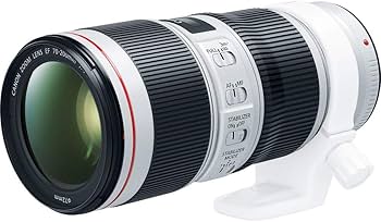 Amazon.co.jp: Canon EF 70-200mm f/4L IS II USMレンズ Canonデジタル