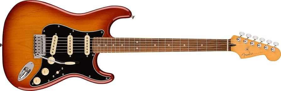 Amazon | Fender エレキギター Player Plus Stratocaster®, Pau Ferro