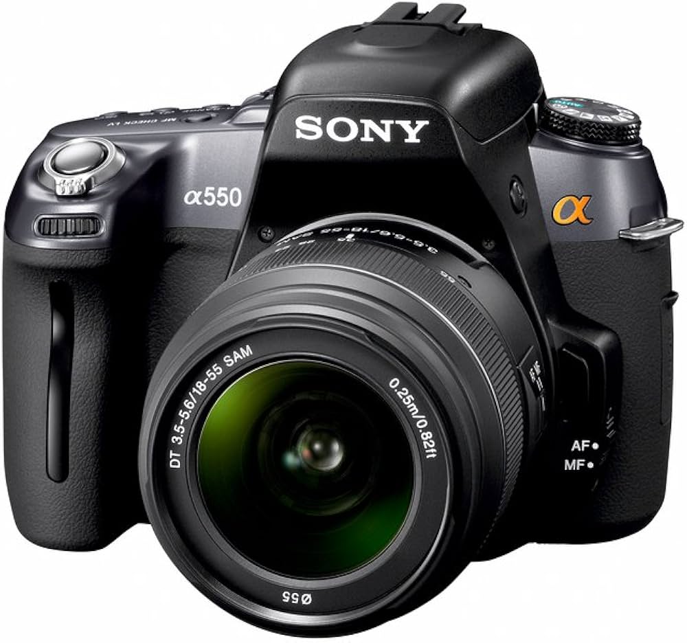 お子様の成長記録を綺麗に❤️SONY α550 セット✨高倍率レンズ すぐ