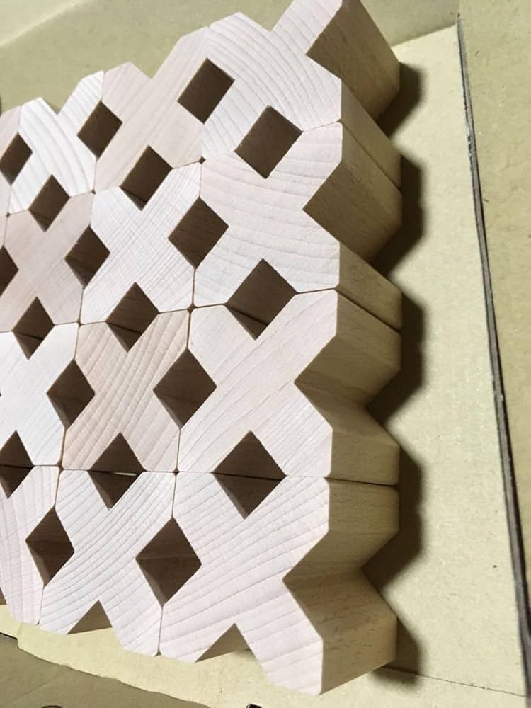 Amazon | エックスブロック Xブロック 16個 積み木 木製 木のおもちゃ