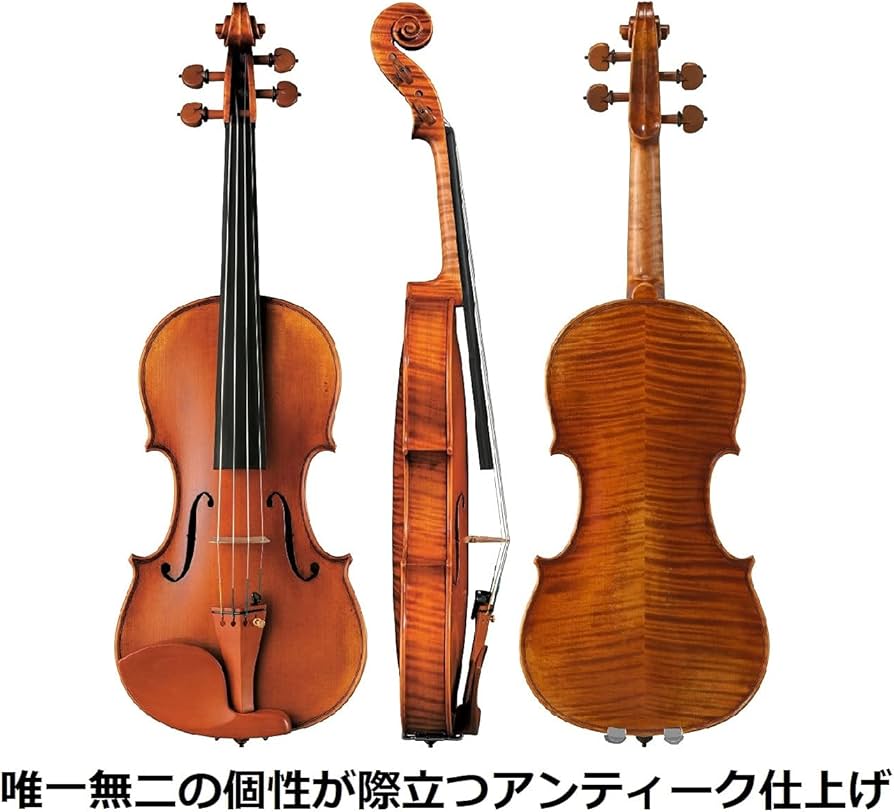Amazon.co.jp: ヤマハ YAMAHA Braviol ブラビオール バイオリン V25GA