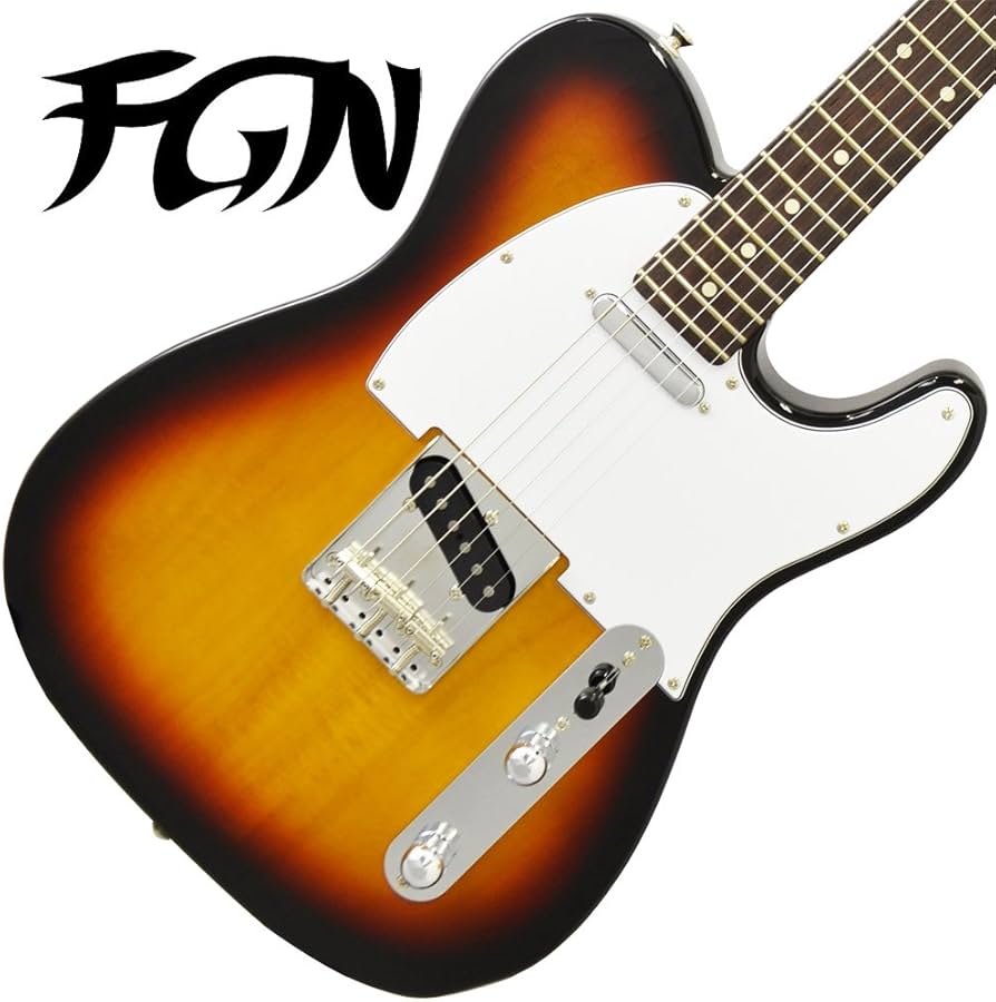 Amazon | FUJIGEN JTL6R/3TS #J180360 エレキギター フジゲン | エレキ
