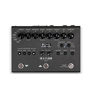 Blackstar HT-DUAL PURE VALVE DISTORTION - 真空管搭載の