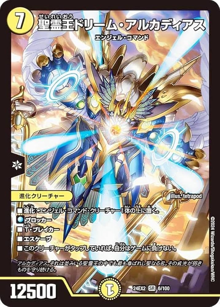 デュエマ 光物のみ 大量まとめ売り 約22000枚 引退品 引取品 SR VR