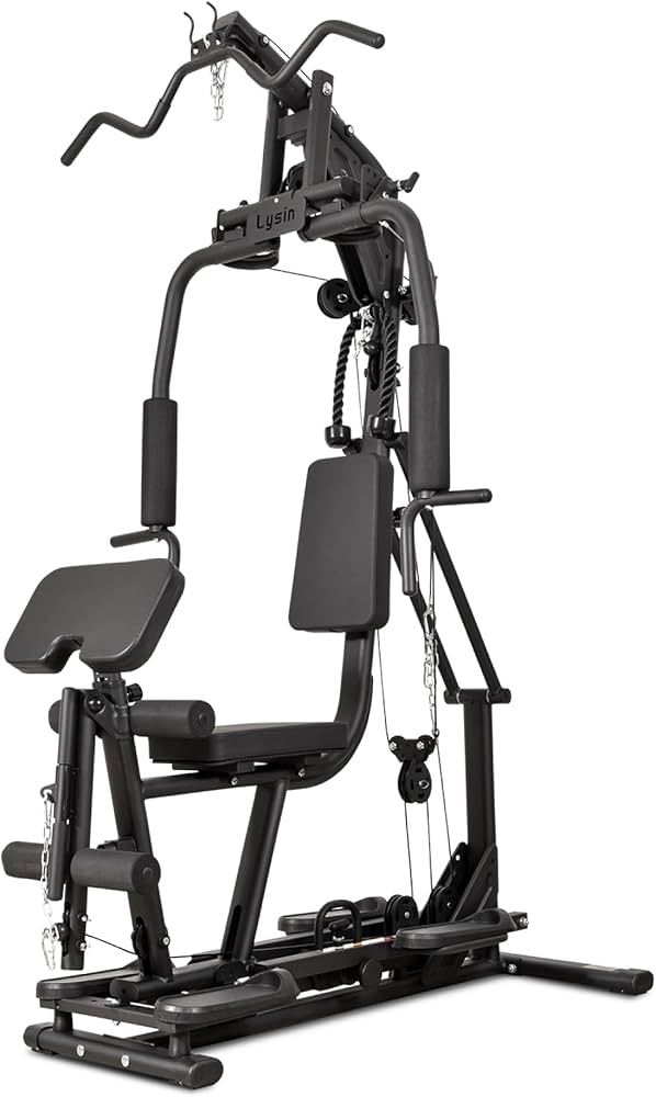 Amazon | ライシン ホームジム 1台多役 静音設計 自重 総合 筋トレ