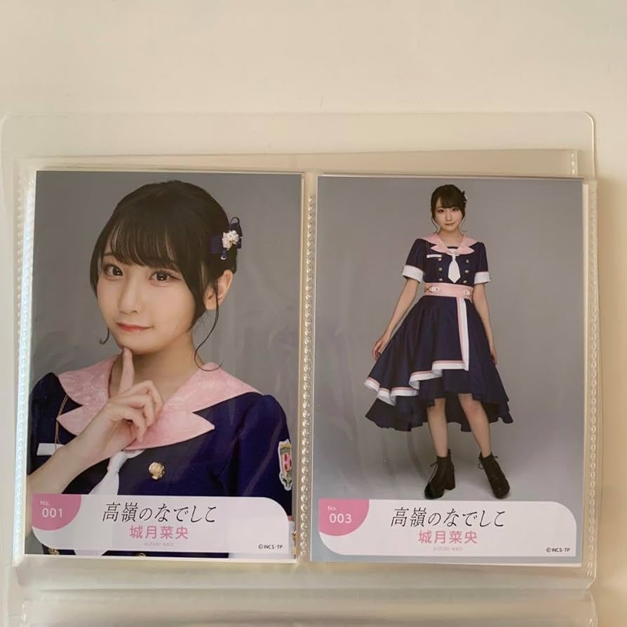 高嶺のなでしこ城月菜央昭和レトロ生写真直筆