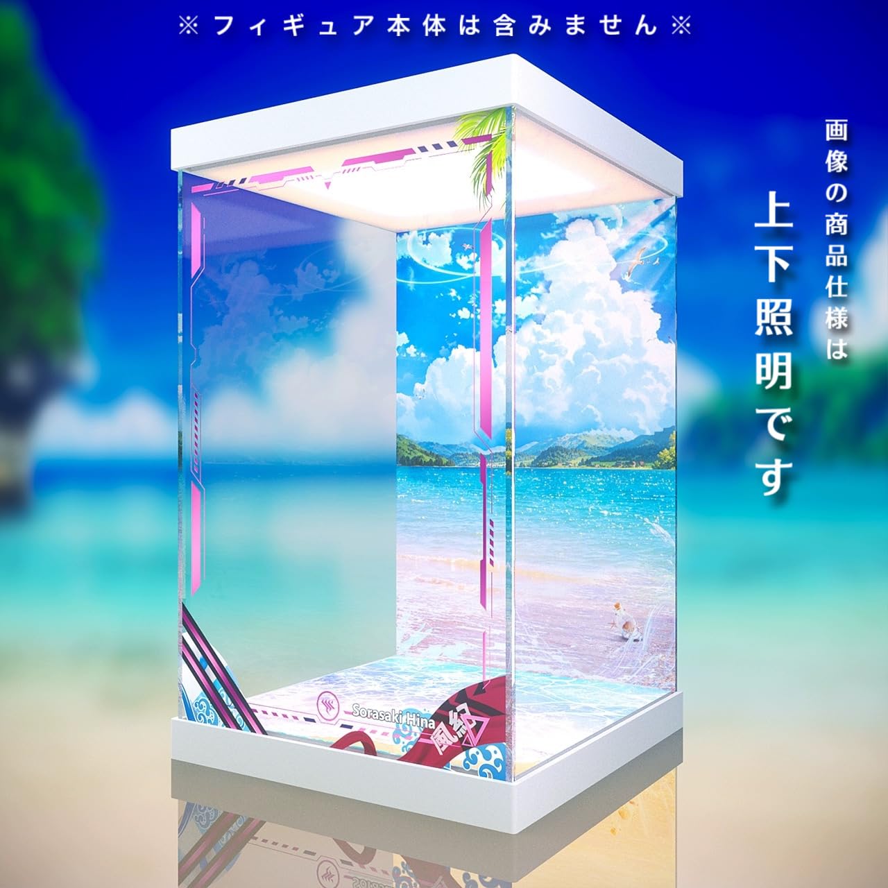 Amazon.co.jp: 専用 フィギュアケース ブルーアーカイブ 空崎ヒナ 水着