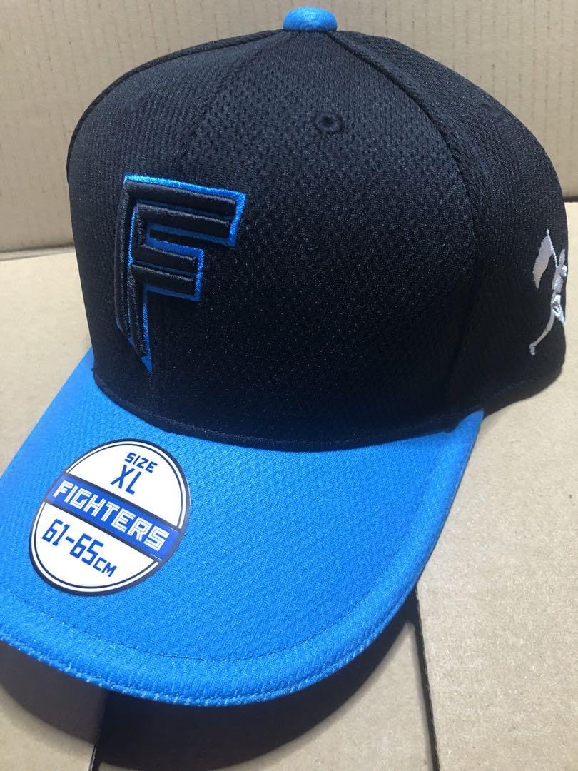 Amazon.co.jp: 日本ハムファイターズ エスコンフィールド1周年