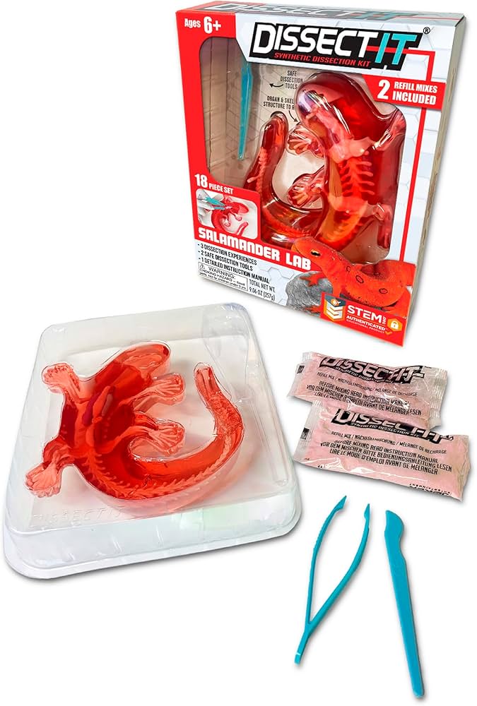 Amazon.com: Dissect-It Kit for Kids, Simulated Synthetic Lab