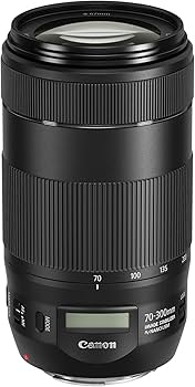 Amazon.com : Canon EF 70-300mm f/4-5.6 IS II USM Lens (Renewed