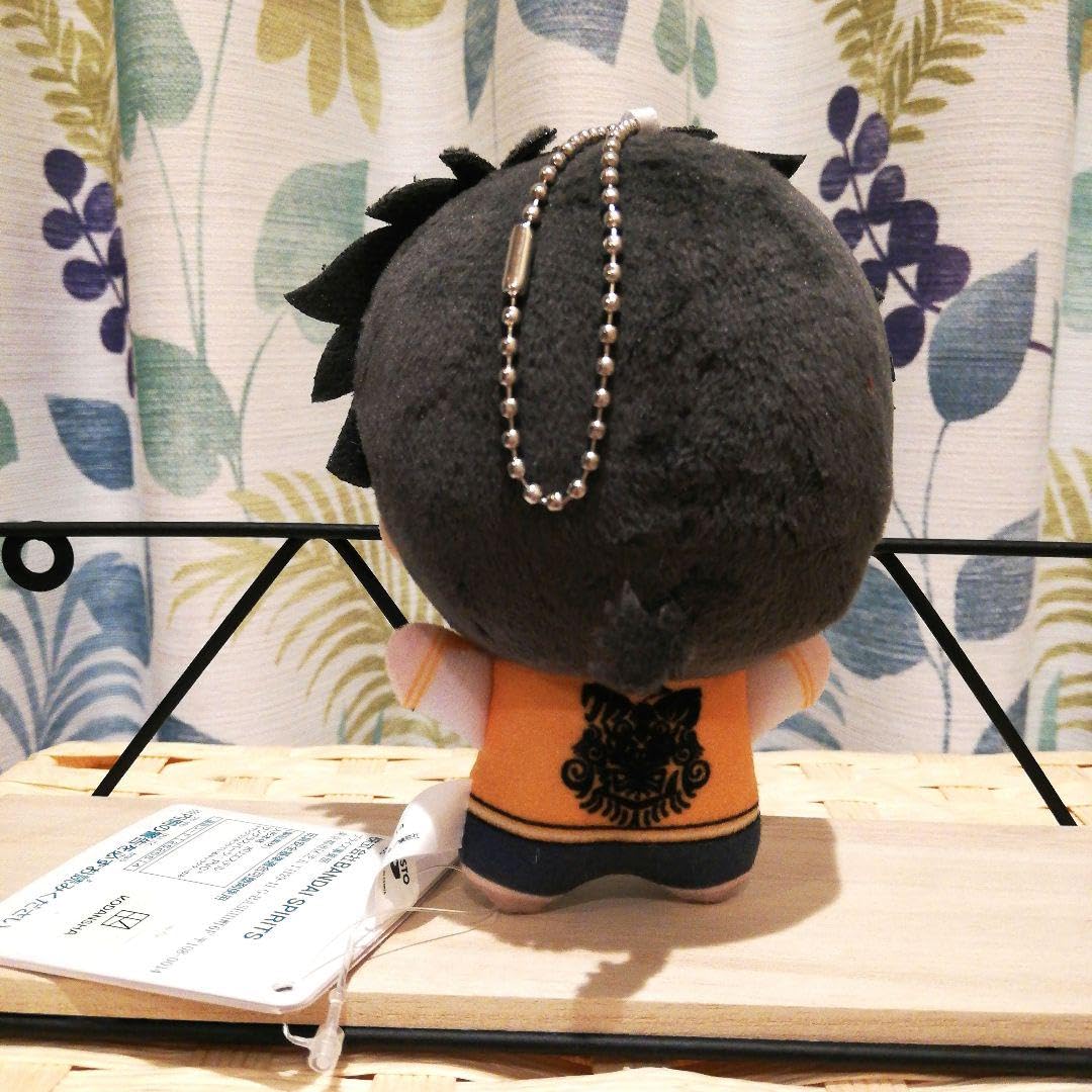 Amazon.co.jp: WIND BREAKER ウィンドブレイカー 十亀条 ちびぐるみ