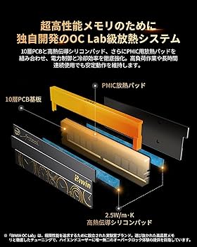 Amazon.co.jp: Biwin DW100 DDR5 6000MT/s (PC5-48000) 192GB (48GB×4