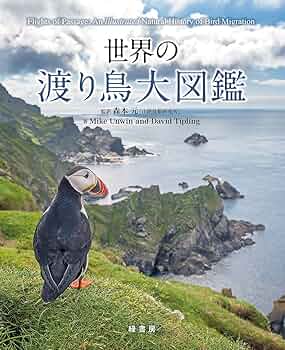 71672ciVqnL._AC_UF350,