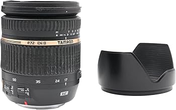 Amazon.com : TAMRON - SP 17-50 mm F/2.8 Di II VC for Canon EF-S