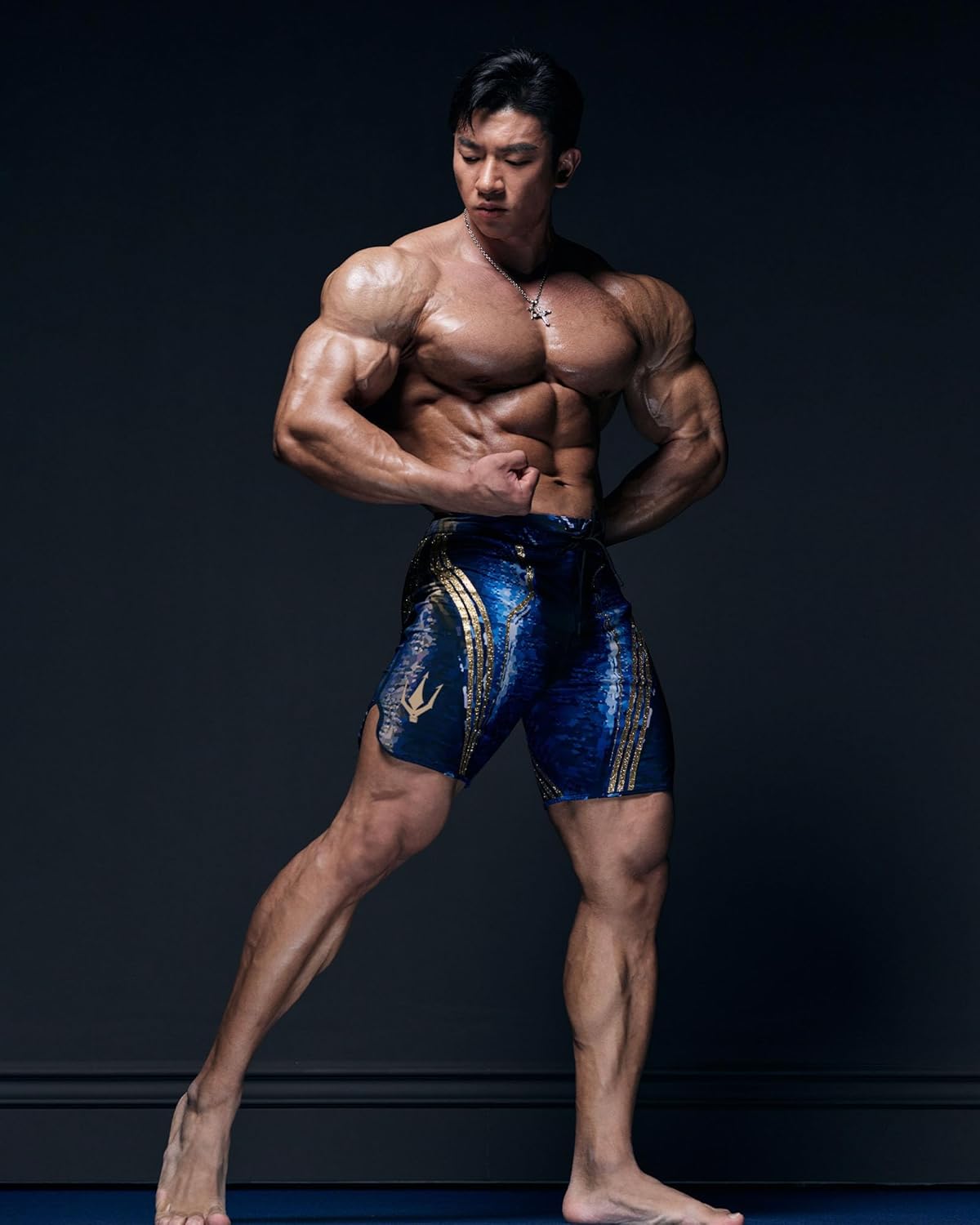 Amazon.co.jp: [FIED] ファイド 15インチ メンズフィジークボード