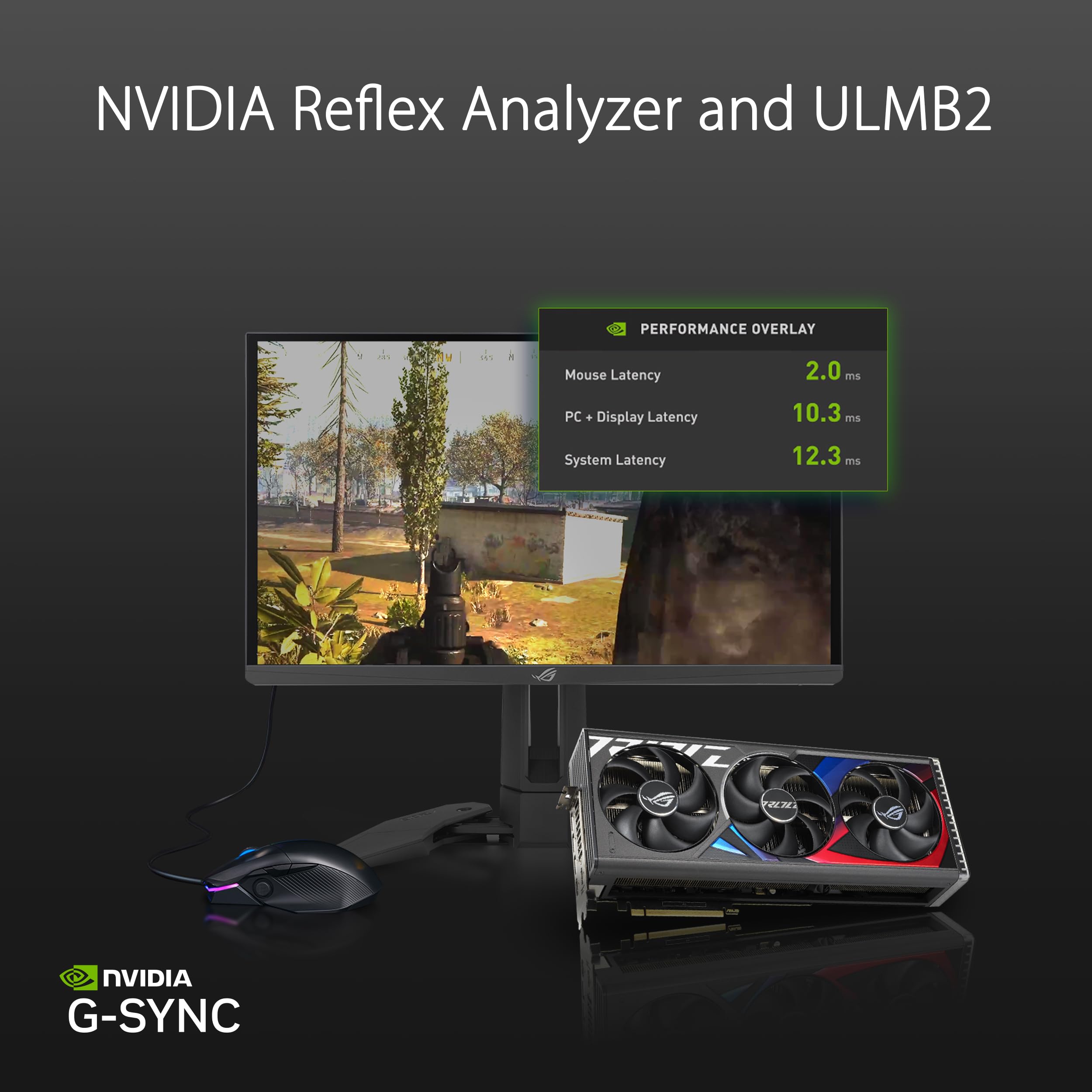 Amazon.co.jp: ASUS ゲーミングモニター ROG Swift Pro PG248QP 24.1