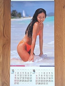 Amazon.co.jp: 1987年 浅野ゆう子 カレンダー LOVELY : 文房具