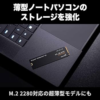 Amazon.com: Western Digital Internal SSD 4TB WD Black SN7100 (Read