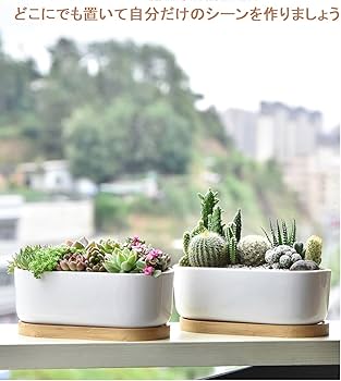 716yT+SIfaL._AC_UF350,