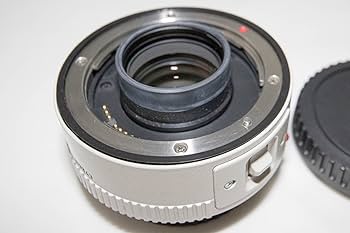 Amazon.co.jp: Canon エクステンダー EF1.4X 2型 EF14X2 : 家電＆カメラ