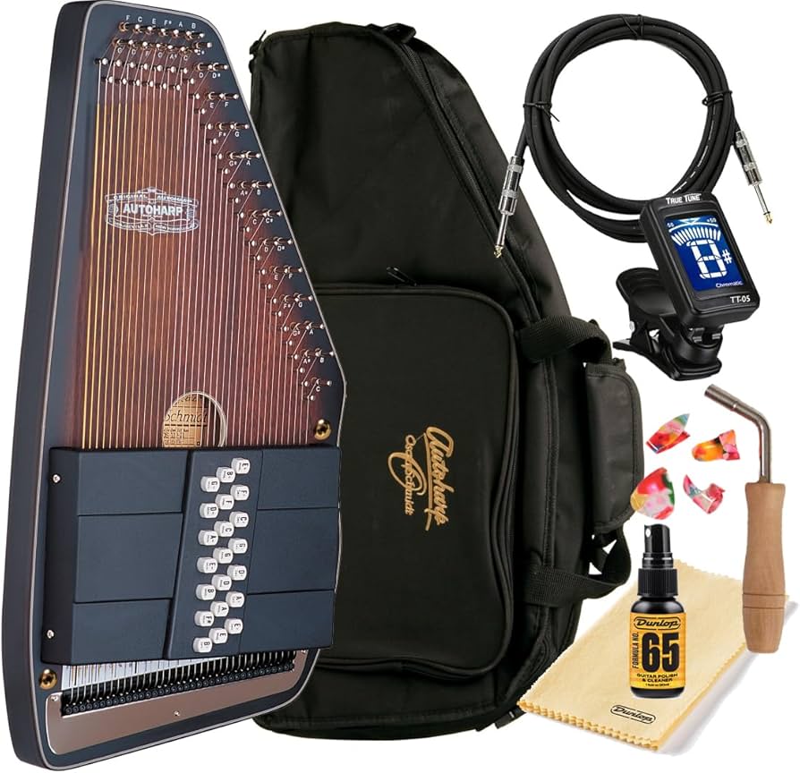 Amazon.com: Autoharp by Oscar Schmidt OS11021AE 