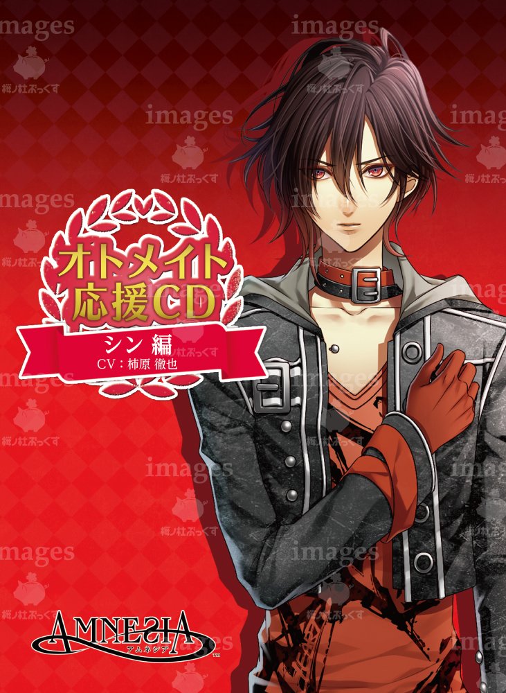 Amazon.co.jp: オトメイト応援CD アムネシア SHIN編(CV:柿原徹也) : 一