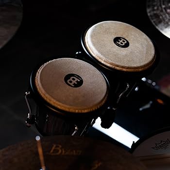 Amazon | MEINL Percussion マイネル ボンゴ Journey Series Bongo