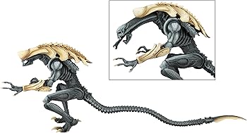Amazon.com: NECA - Aliens vs Predator (Arcade Appearance) - 7