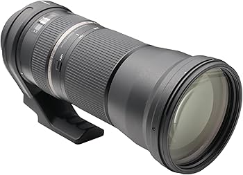 Amazon.co.jp: TAMRON 超望遠ズームレンズ SP 150-600mm F5-6.3 Di USD