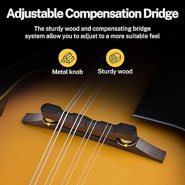 Amazon.co.jp: Donner: マンドリン