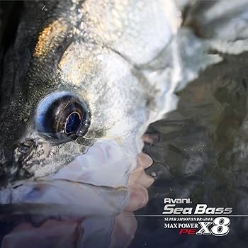 Amazon.co.jp: VARIVAS(バリバス) ライン アバニ シーバス PE マックス