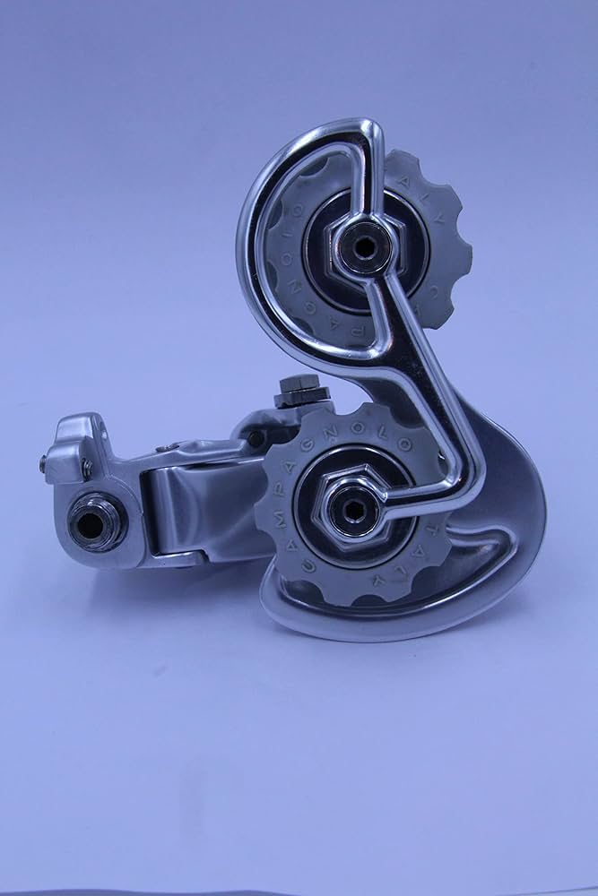 Amazon.co.jp: カンパニョーロ(campagnolo) CORSA RECORD REAR