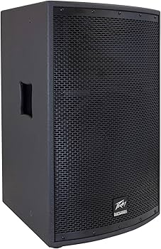 Amazon.co.jp: Peavey SP 2 1000ワット 2ウェイ PAスピーカー : 楽器