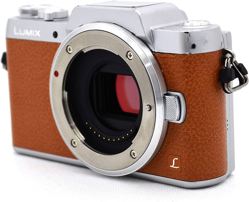 Amazon.co.jp: Panasonic ミラーレス一眼カメラ DMC-GF7 ボディのみ