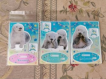 Amazon.co.jp: 鳥羽水族館 70周年記念 ラッコ キラ アクリルスタンド 3