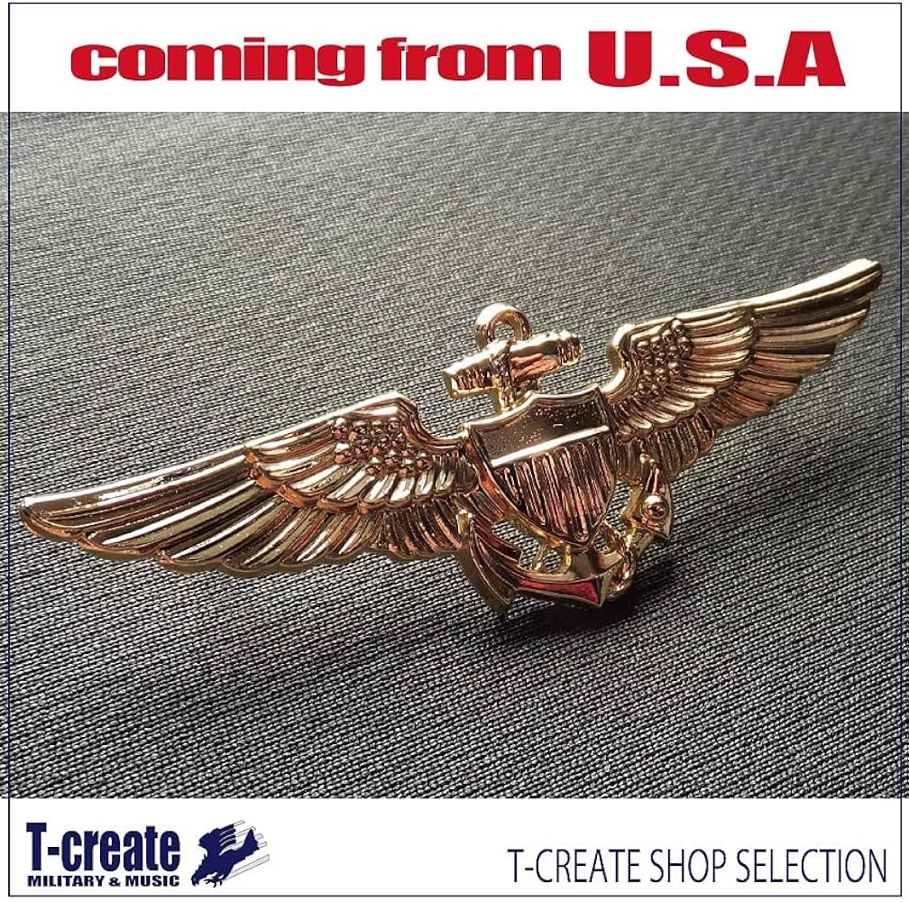 Amazon.co.jp: AFB01 ミリタリー バッジ 米海軍/海兵隊パイロット