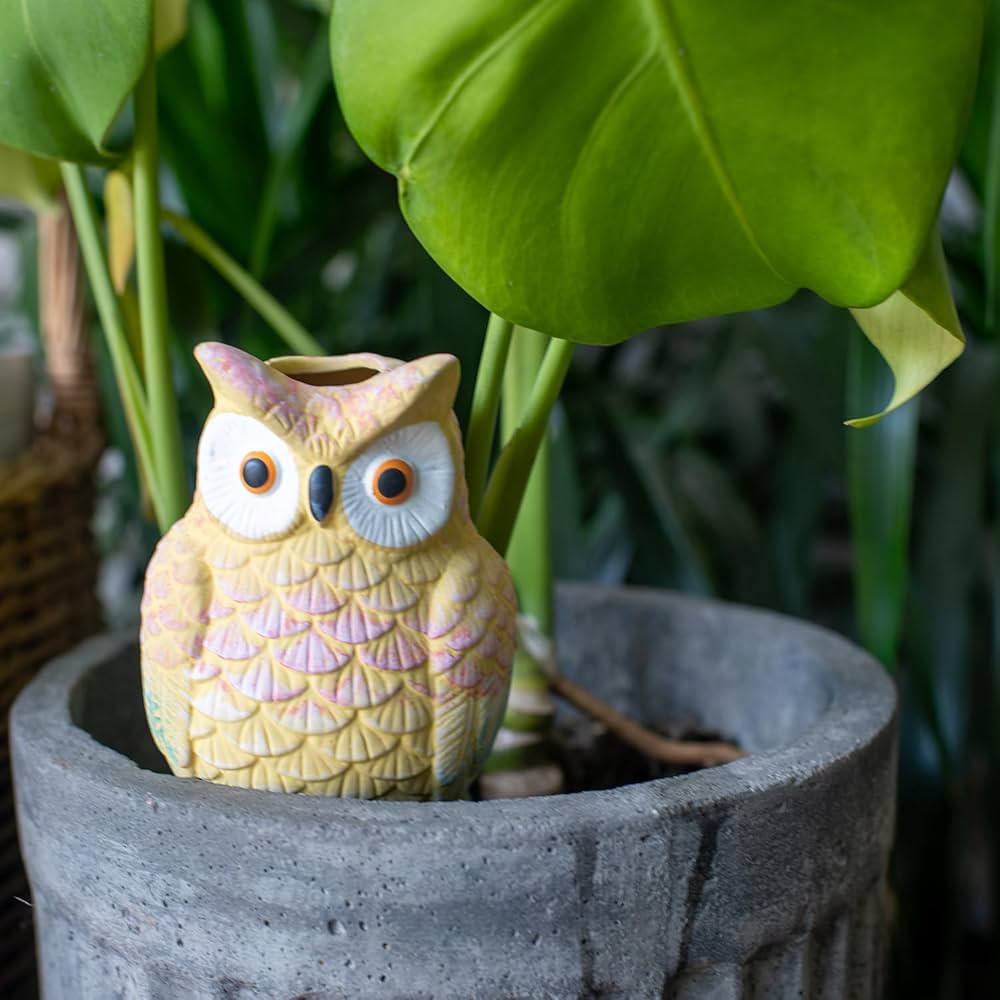 71-yKo-VSrL._AC_UF1000,