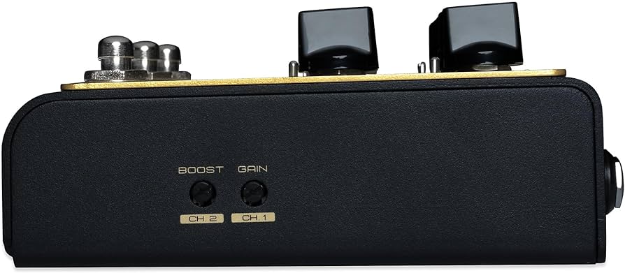 Amazon.co.jp: Friedman/IR-X Dual Tube Preamp フリードマン