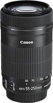 Amazon.co.jp: Canon レンズ EF-S55-250mm F4-5.6 IS STM : 家電＆カメラ