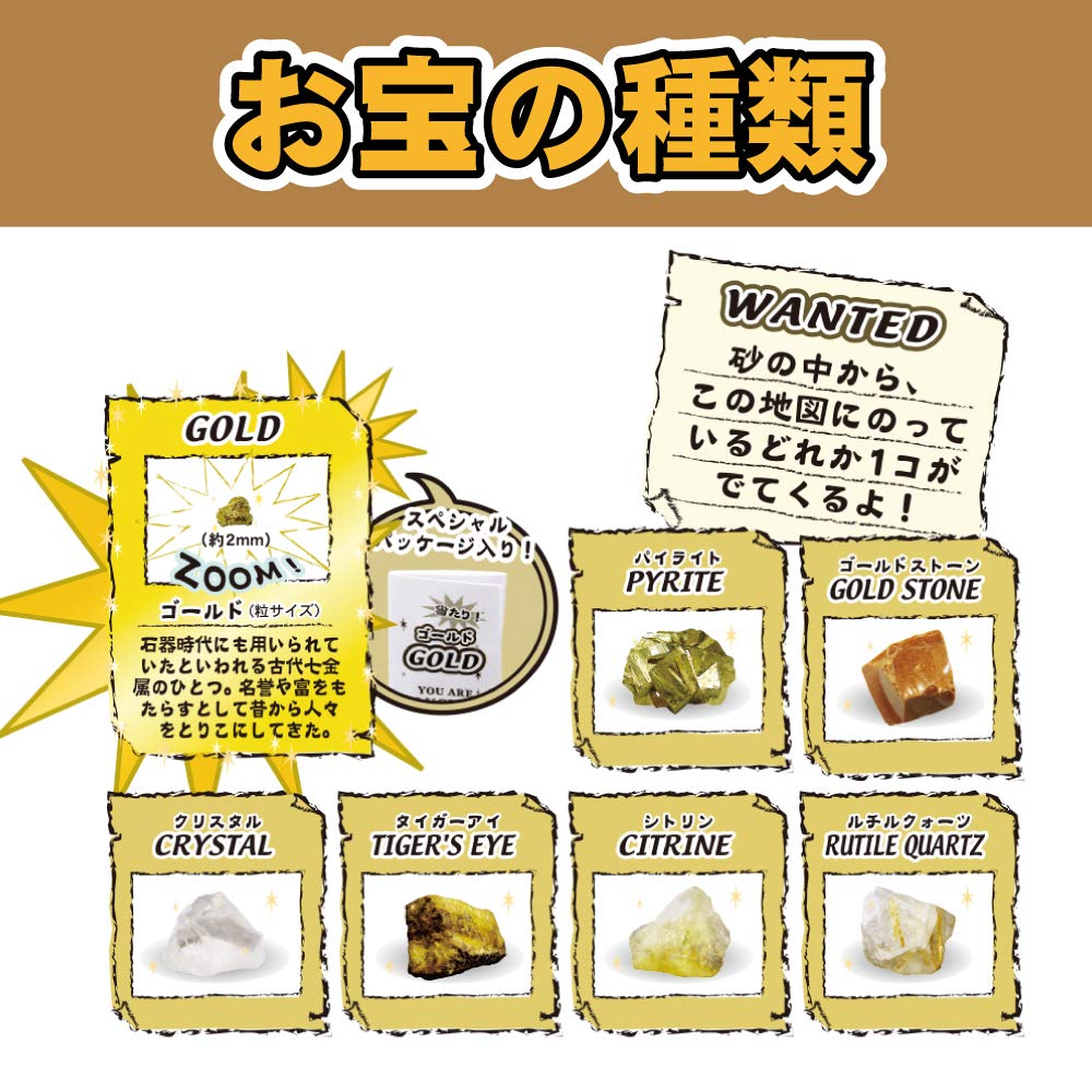 Amazon.co.jp: ノルコーポレーション 宝物発見シリーズ 黄金発見 TKZ-7