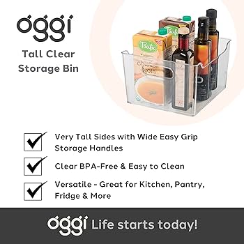 Amazon.com: Oggi Storage Bin With Handles - Deep (9.75
