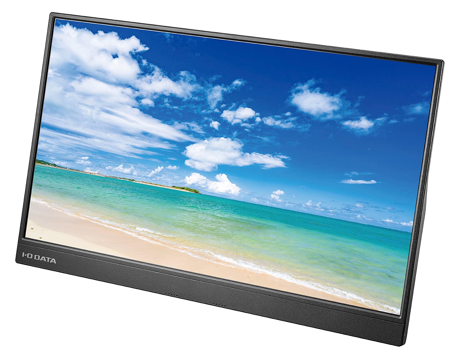 Amazon.co.jp: IODATA LCD-CF161XDB-M 15.6型 / 1920×1080 / HDMI