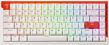 711xgMtn+5L._AC_UF350,