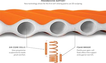 Amazon | NEMO (ニーモ) フライヤー レギュラー マミー NM-FLY-RM