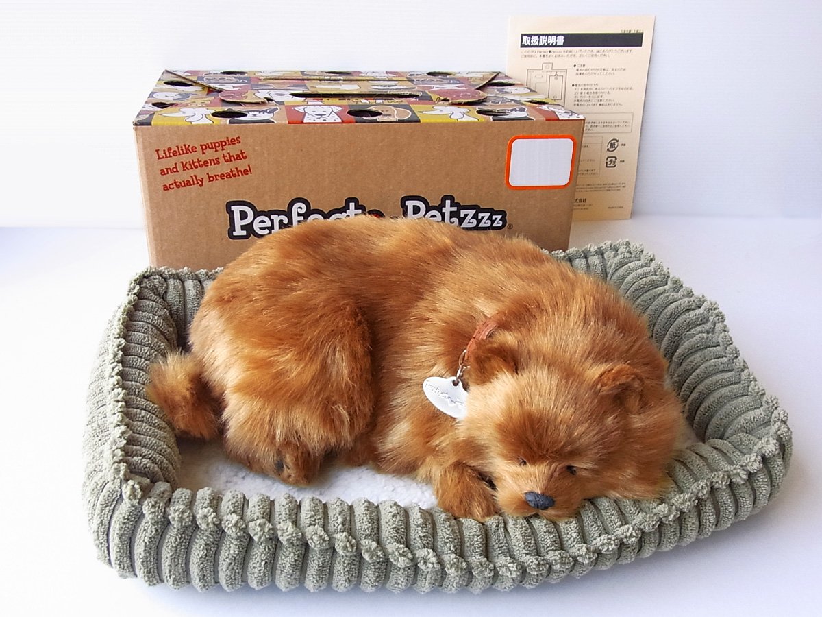 Amazon.co.jp: ニニアンドキノ パーフェクトペット (小サイズ