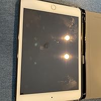 Amazon.co.jp: 【整備済み品】Apple iPad (第5世代) Wi-Fi 128GB