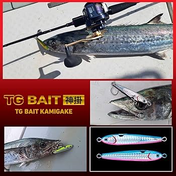 Amazon.co.jp: ダイワ(DAIWA) タングステンジグ TGベイト神掛 80G PH